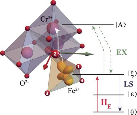 Study of Fe2+ ions contributes to further understanding of magnetoelectric coupling | Science Codex