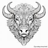 Bison Coloring Pages  Free & Printable sketch template