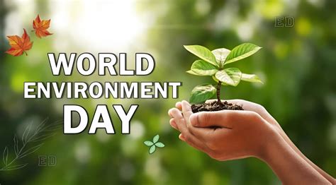 World Environment Day 2023: Pathways to Planet Protection