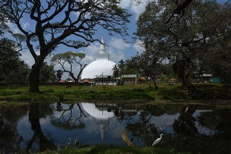 A spectacular view of Ruwanweliseya - Caption Story | Daily Mirror