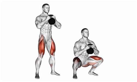 The 10 Best Quad Exercises (Updated 2023) - Jacked Gorilla