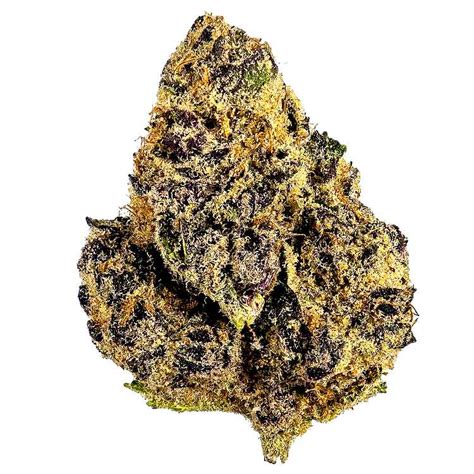 Tropicana Cookies Purple seeds-cannabis seeds for sale