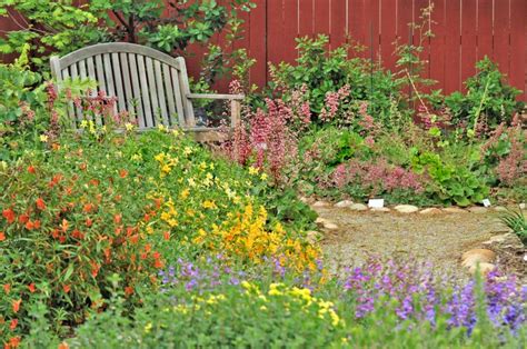 The basics of a backyard wildlife habitat | Welcome Wildlife