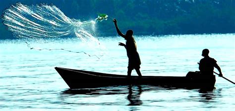 How 500 Fish Species Rapidly Evolved in Lake Victoria – The Tanzania Times