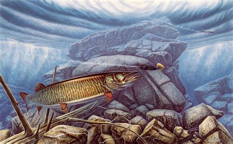 Musky :) | Musky fishing, Fish art, Musky