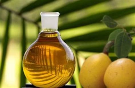 10 Reasons Why Marula Oil Works So Well On Your Hair, Face, & Skin