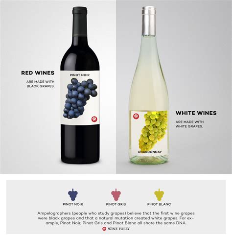 Red Wine vs White Wine: The Real Differences | Wine Folly