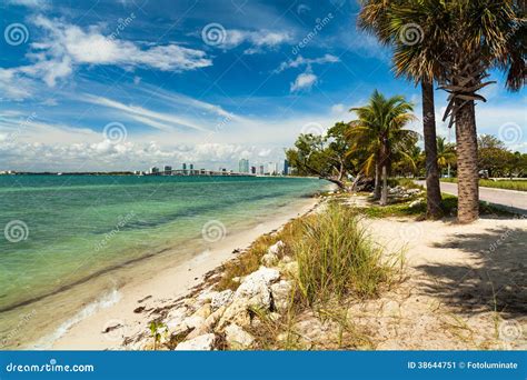 Key Biscayne Beach stock image. Image of florida, landscape - 38644751