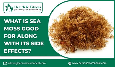 What is Sea Moss Good for along with its Side Effects?