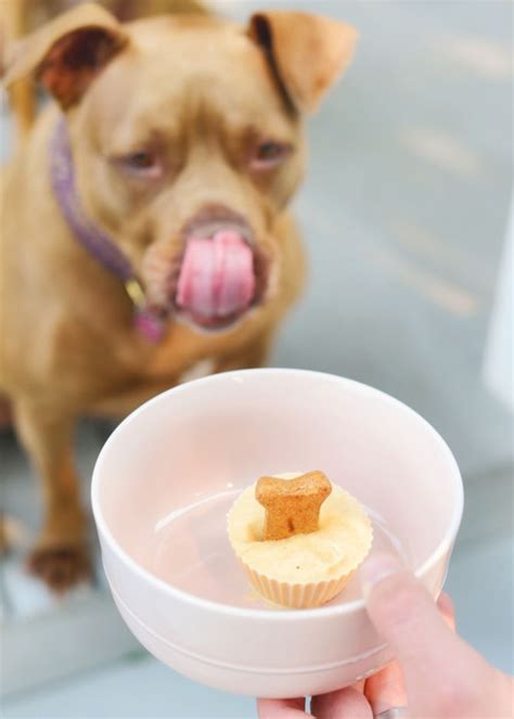 Homemade Dog Ice Cream Recipe | Crate and Barrel Blog