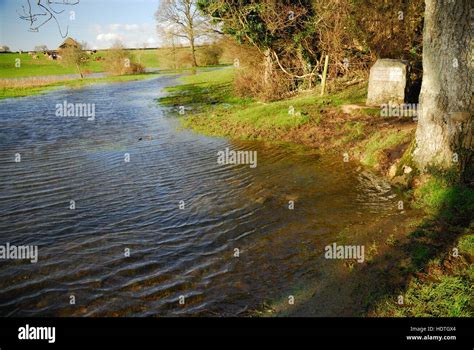 Flooded meadow at Thames Head, the official source of the river Thames ...