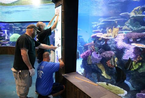 'A long, wild ride': Oklahoma Aquarium marks 15 years of growth, prepares to celebrate with new ...