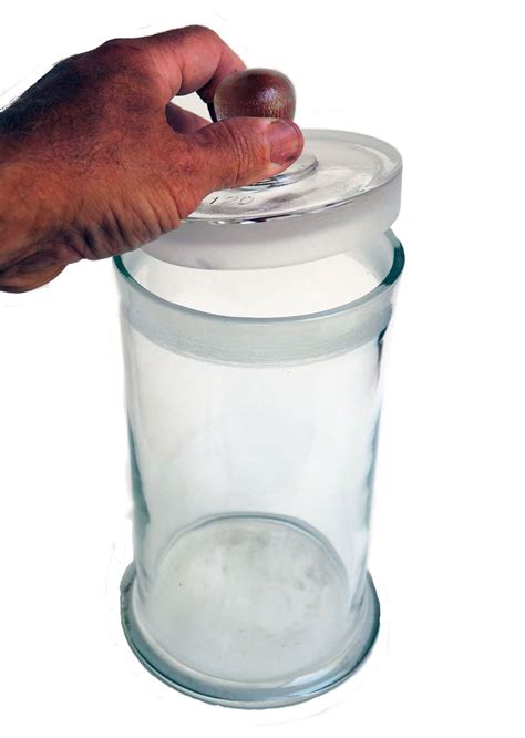 Glass Specimen Jar, 210 x 120mm with lid: Amazon.com: Industrial & Scientific