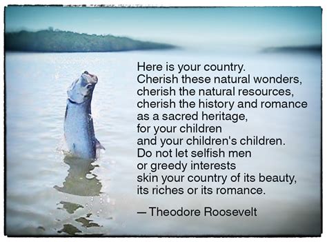 Theodore Roosevelt Nature Quotes. QuotesGram