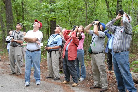 Best birdwatching tips | Joy of Birdwatching