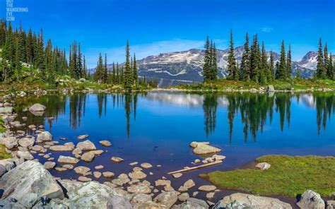 Canadian Summer - Gotthewanderingeye | Landscape Photography