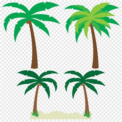 Palm Tree Vector Top View