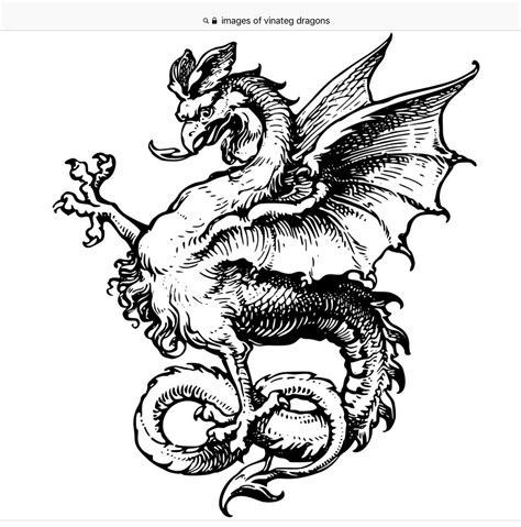 Pin by anne siems on Tattoo | Dragon illustration, Woodcut art, Medieval dragon