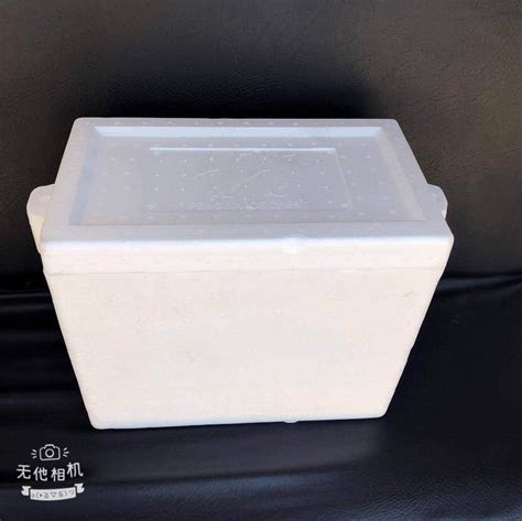 Styrofoam Box Ice Chest With Strap, Furniture Home Living, Home ...