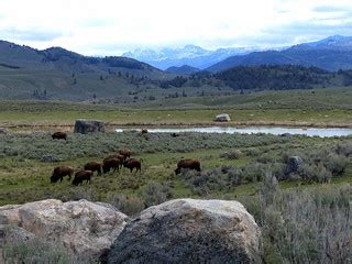The Northern Range | The Absaroka range in the background, s… | Flickr
