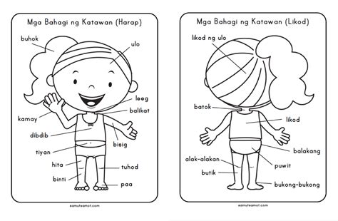 Mga Bahagi Ng Katawan Worksheet