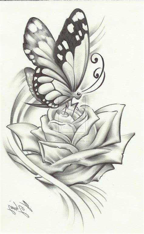 Butterfly Drawings In Pencil at PaintingValley.com | Explore collection of Butterfly Drawings In ...