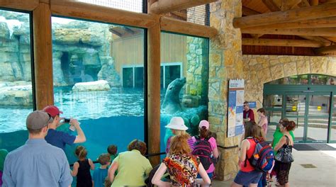 Kansas City Zoo Package Deals | Orbitz