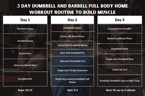 3 Day Dumbbell and Barbell Full Body Home Workout w/PDF - The Fitness ...