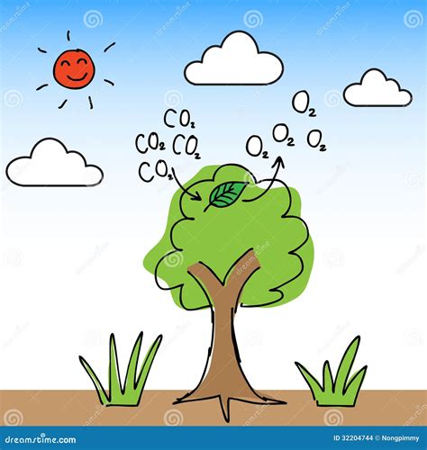 Oxygen Tree Stock Images - Image: 32204744