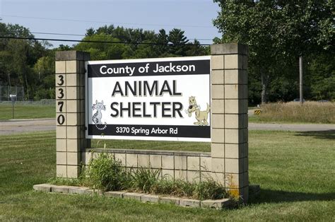 Empty the Shelters event kicking off soon at Jackson County Animal Shelter - mlive.com