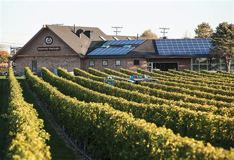 Vineyard View: Newport Vineyards | The Beverage Journal