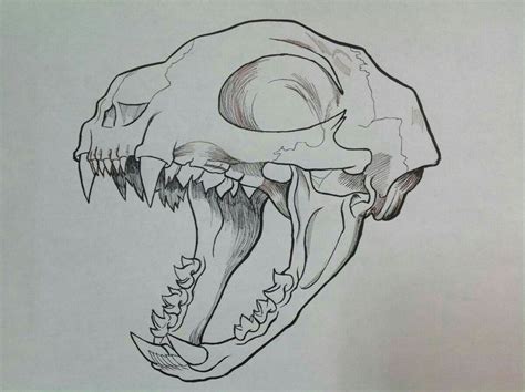 Pin by ghost on ART :) | Animal skull drawing, Skulls drawing, Skull ...