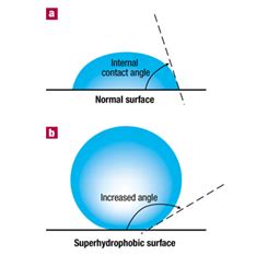 Hydrophobic Self Assembling Monolayers: 2) Science Of Rain-x