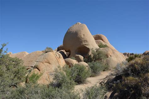 Patrick Tillett: Skull Rock - Joshua Tree National Park