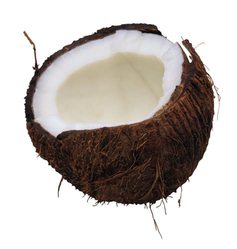 Coconut PNG Transparent Images - PNG All