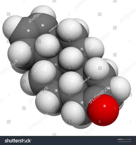 Androstenone Pheromone Molecule Chemical Structure Androstenone Stock Illustration 112512995 ...