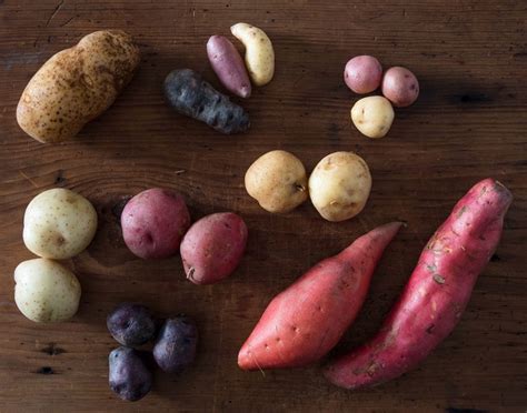 Harvesting Sweet Potatoes Guide - Simply Garden Life