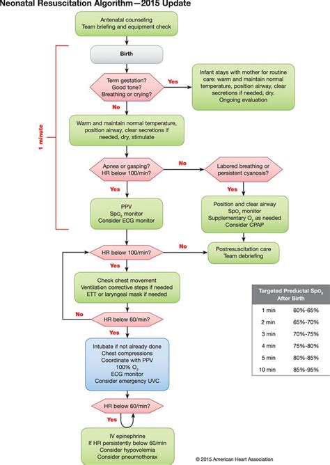 Part 13: Neonatal Resuscitation | Circulation