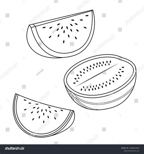 Watermelon Palestine Symbol Peaceful Country Green Stock Vector (Royalty Free) 2399021629 ...