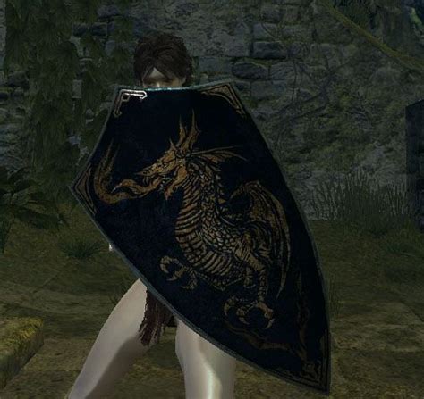 Dark Souls: Dragon Crest Shield