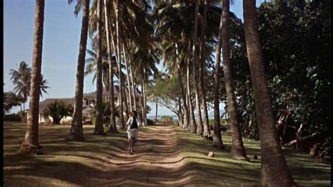 Happyotter: DONOVAN'S REEF (1963)