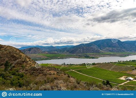 Osoyoos Wineries Next To River Stock Image - Image of grapes, farm: 172691771