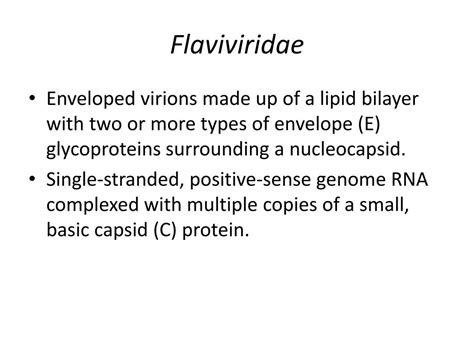 PPT - Flaviviridae PowerPoint Presentation, free download - ID:1783416