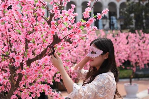 Flowers blossom in Pudong for Peach Blossom Festival - SHINE News