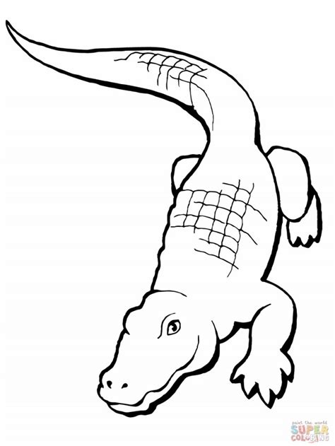 Alligator (Animals) – Page 2 – Free Printable Coloring Pages