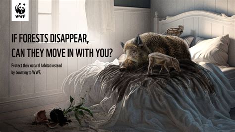 WWF: Roomies From The Wild • Ads of the World™ | Part of The Clio Network