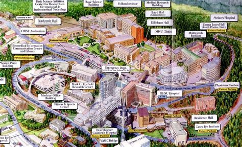 Ohsu Map Printable