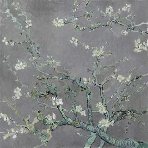 golden hour | Flower prints art, Van gogh almond blossom, Blossoms art