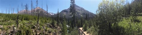 Marble Canyon Hike (Kootenay National Park) | 10Adventures