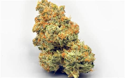 Tropic Thunder Strain